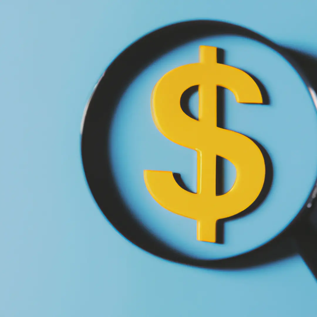 Caption: Minimalistic image of a magnifying glass and a dollar sign symbolizing due diligence in investment decisions.